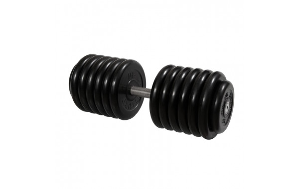 Гантель Профи с вращающейся ручкой, 66 кг MB Barbell MB-FdbM-B66 600_380